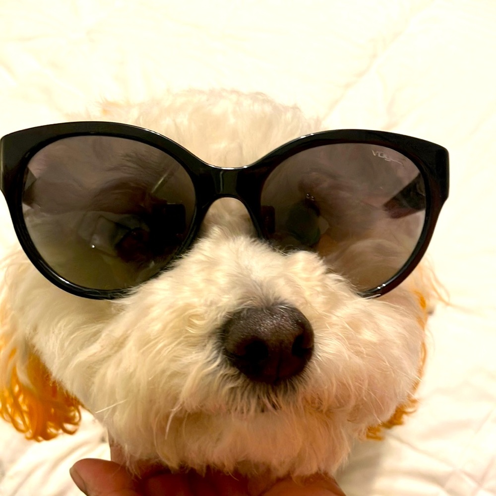 Vogue Sunglasses